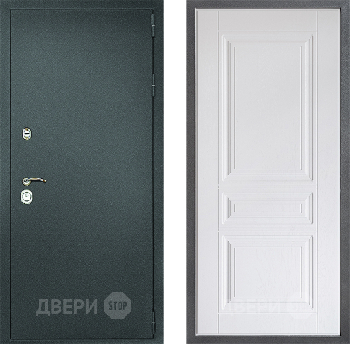 Входная металлическая Дверь Дверной континент Рубикон Серебро Дизайн ФЛ-243 Альберо Браш серебро в Домодедово